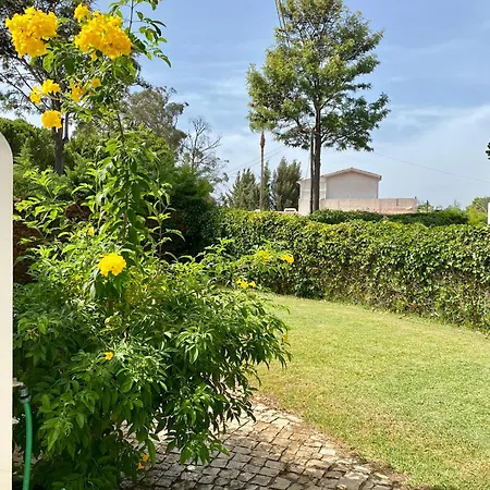 Zen - Beautiful Private Pool-heating Option, Hot Tub, Beautiful Garden * Albufeira