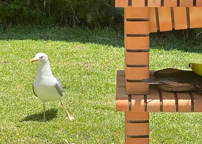 빌라 Zen - Beautiful Private Pool-heating Option, Hot Tub, Beautiful Garden *