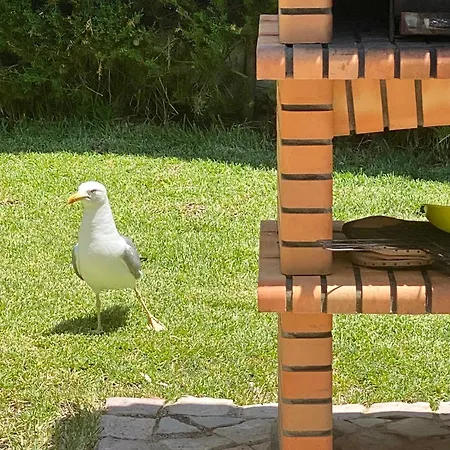 Villa Zen - Beautiful Private Pool-heating Option, Hot Tub, Beautiful Garden *